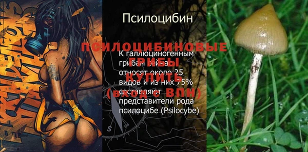 MESCALINE Алзамай
