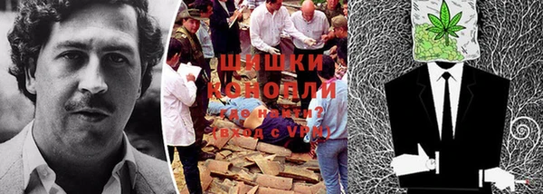 бошки Алексин